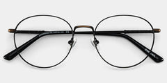 Ian Brown Frame Glasses with Round Frame Online | ZEELOOL
