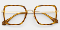 Shane Amber Frame Glasses with Square Frame Online | ZEELOOL