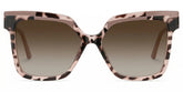 Square Eboney Tortoise Frame Glasses Deals -Zeelool Optical