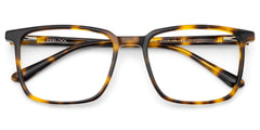 Rectangle Tortoise Eyeglasses- Aidan Acetate Frame Glasses