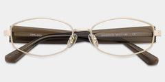 Dakota Cinnamon Rectangle Glasses for the Female | ZEELOOL