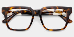 Harriet Square Tortoise Frame Eyeglasses for Man| ZEELOOL