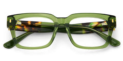 Clear Green Glasses Frames With Green and Tortoise Temples