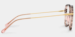 New Arrival Tortoise Color for Payton Frame Glasses | Zeelool