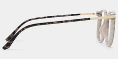 Rodz Tortoise-Blue Eyeglasses with Designer Frame