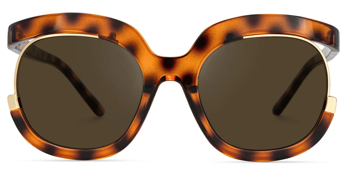 Darice Round Tortoise Sunglasses | Zeelool Glasses