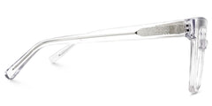 Dexter Square Clear Eyeglasses and Acetate Frames
