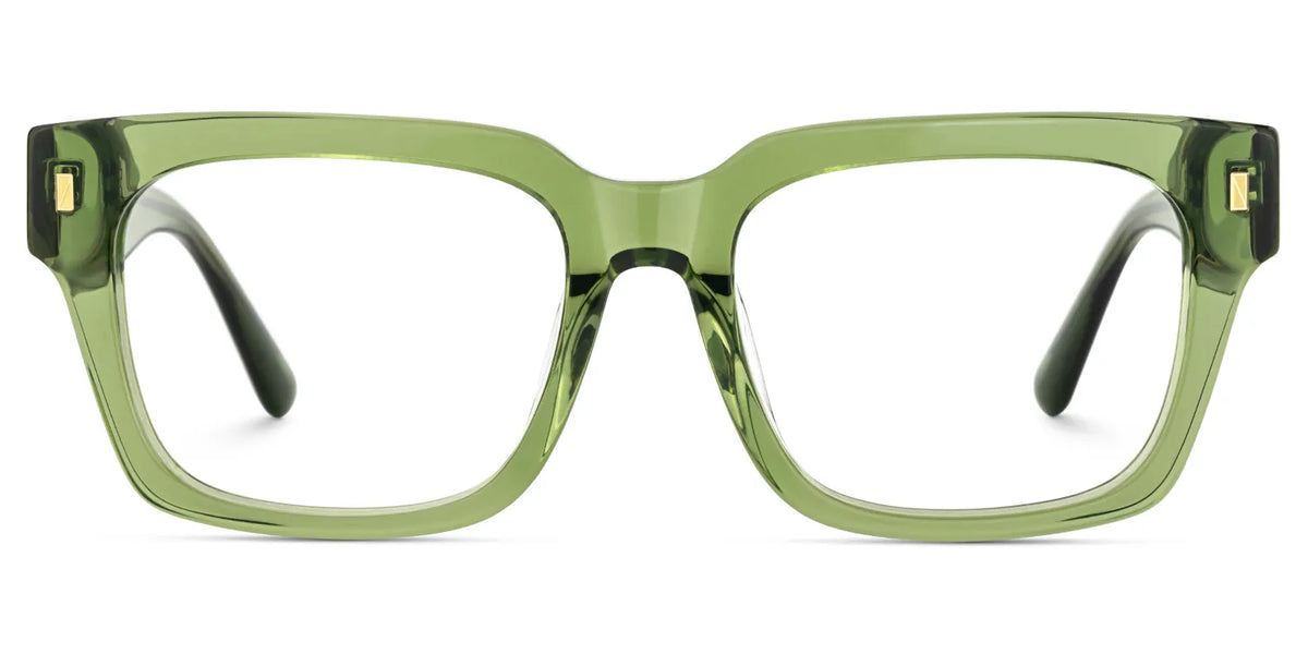 Clear Green Glasses Frames With Green and Tortoise Temples