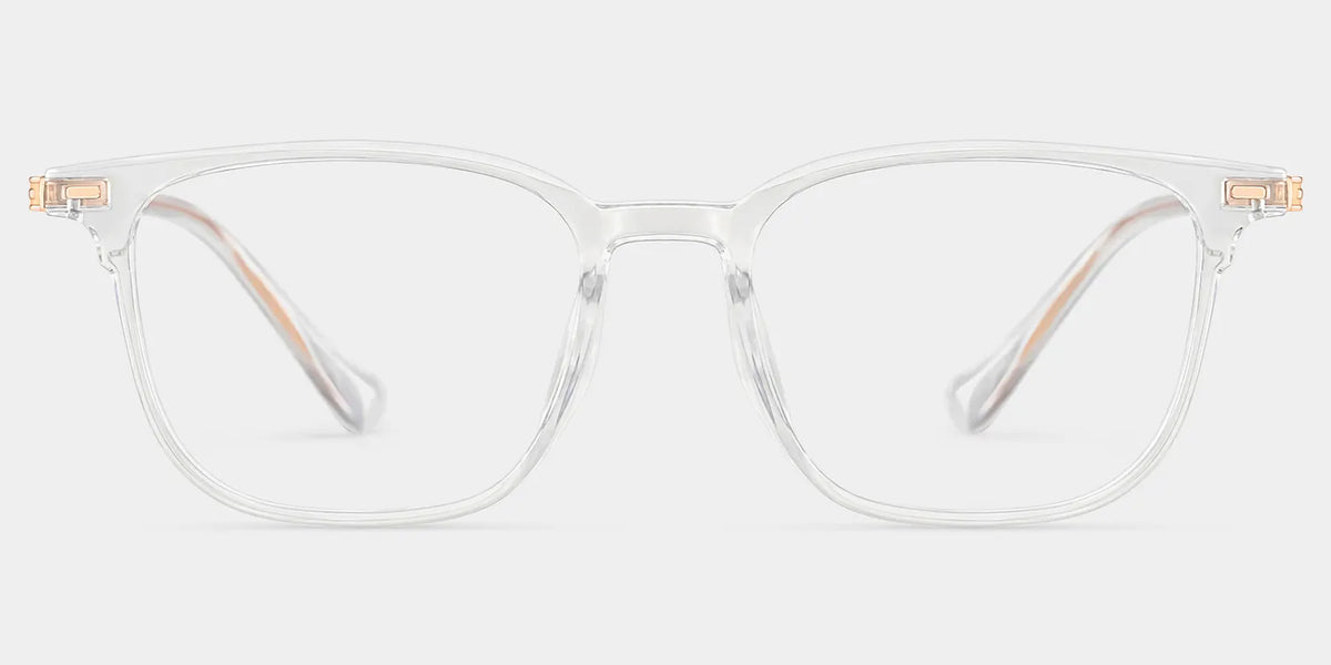 William Rectangle Transparent Glasses Frames for Men | ZEELOOL