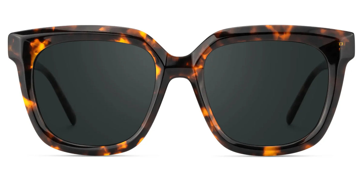 Lark Square Tortoise Polarized Sunglasses