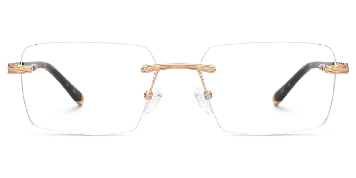 Tortoise Mixed-Materials Rectangle Eyeglasses- Savitrie