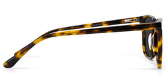 Rectangle Tortoise Eyeglasses- Aidan Acetate Frame Glasses